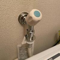 画像257