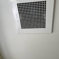 画像284