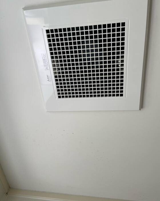 画像284